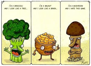 veggie funny
