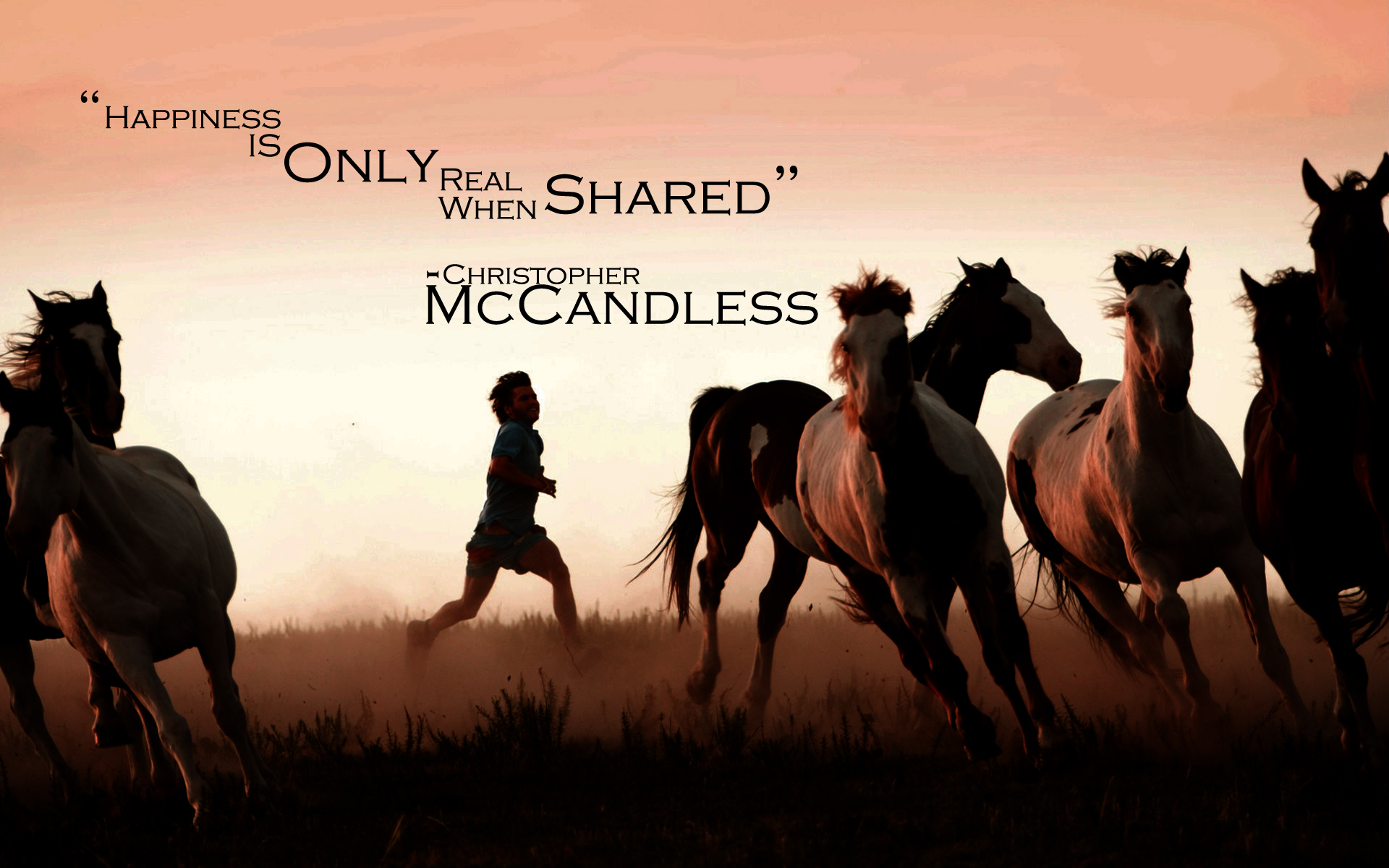 chris mccandless happiness is only real when shared