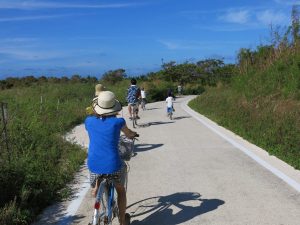 People cycling in Japan, exercise is a big part of Okinawa longevity