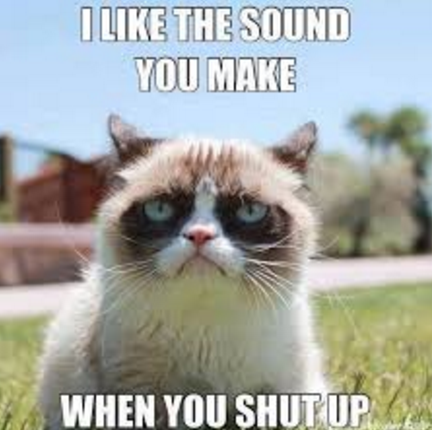 Shut up cat