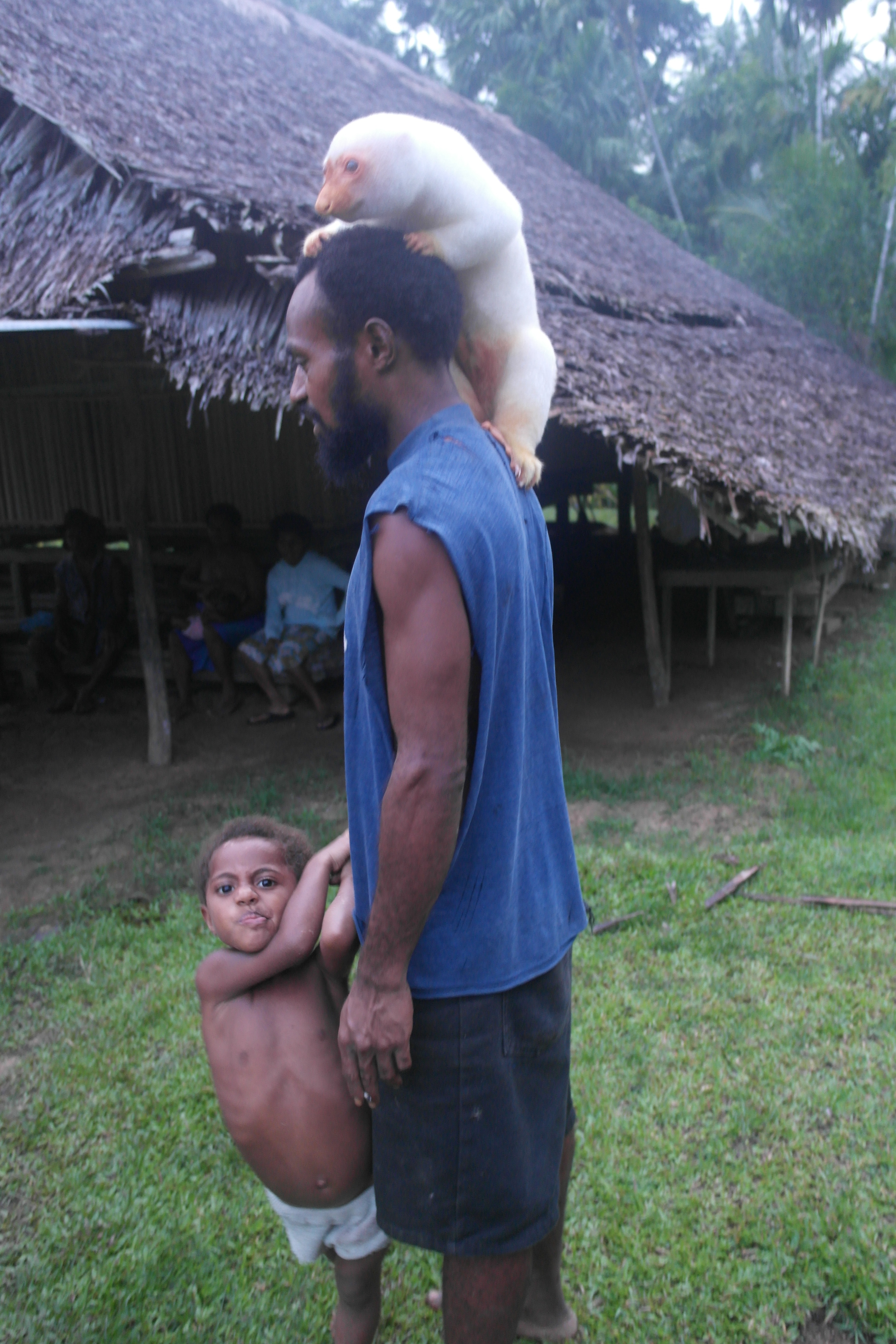 Cuscus animal climbing a man stood with a child