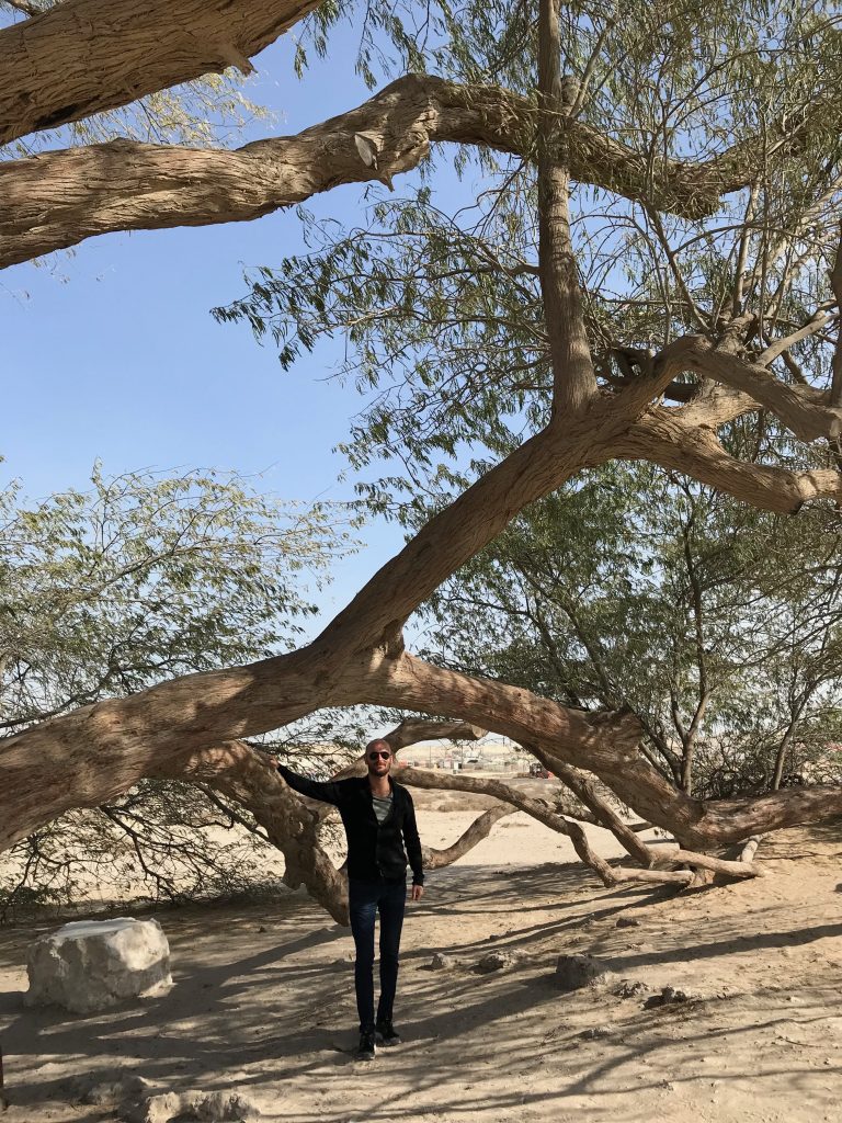 Tree of Life, Bahrain