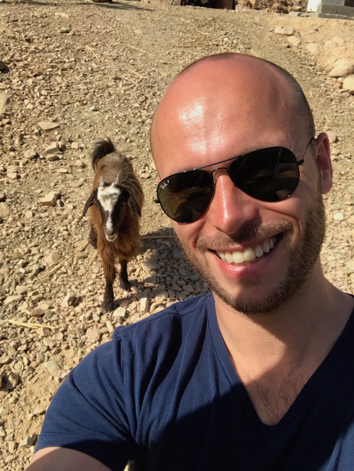 Goatfie goals in Oman.