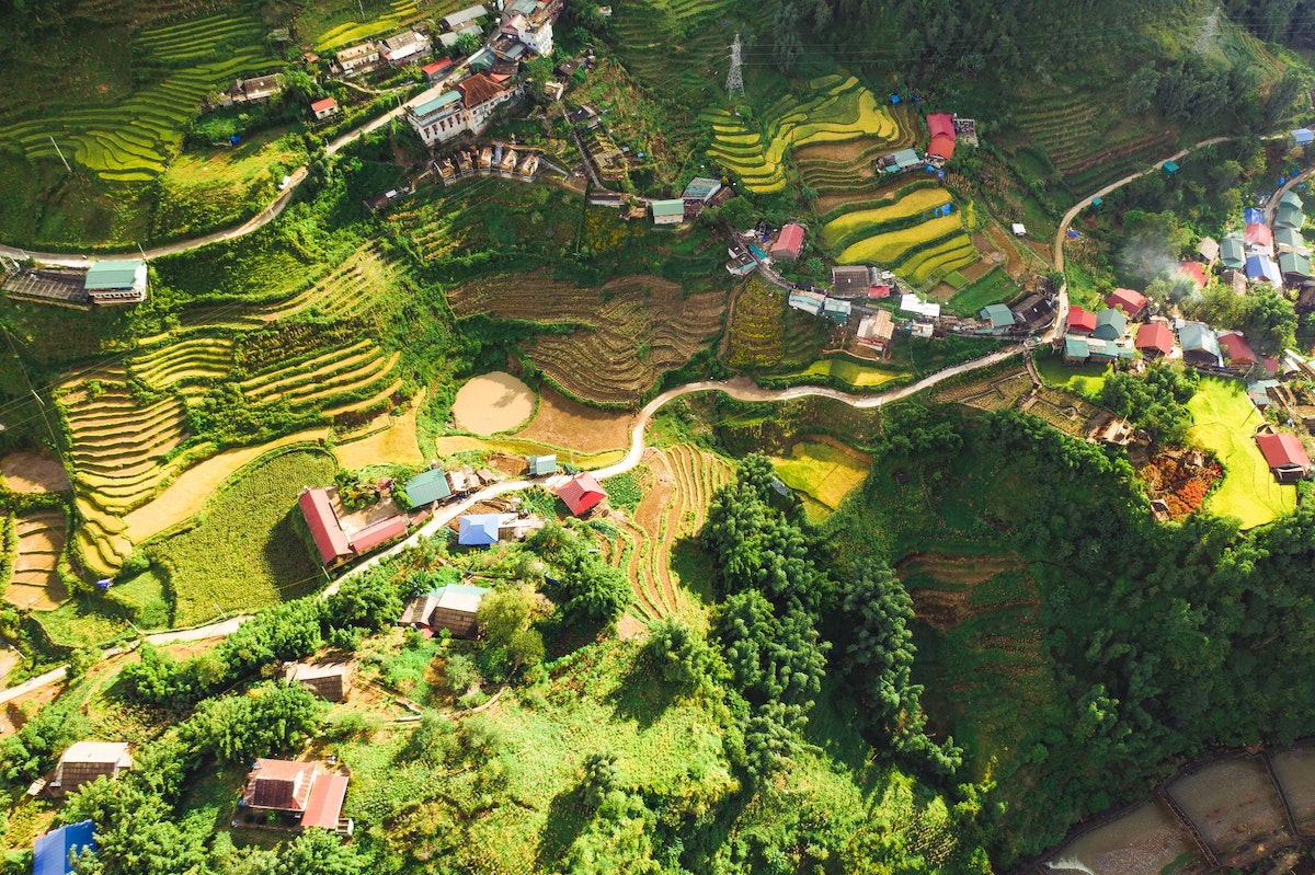 Rice fields in Sapa, mountainous town of Vietnam
