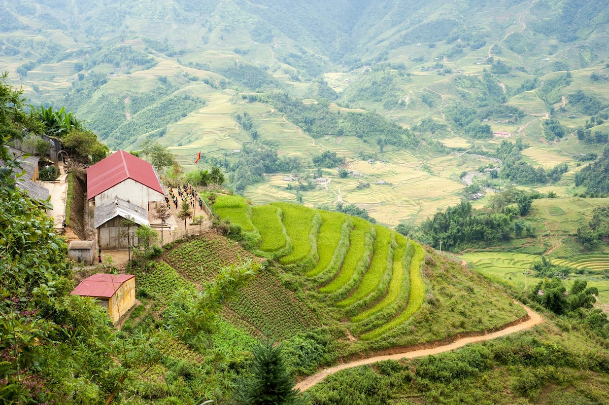 Beautiful rice paddies in Vietnam during the day