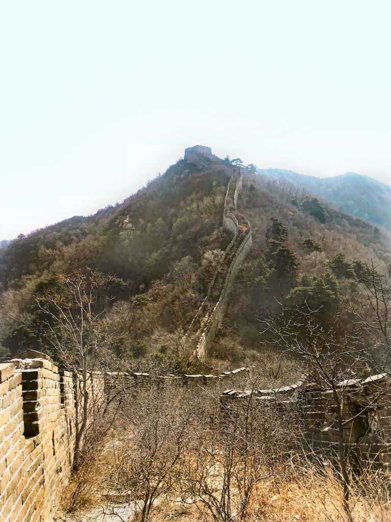 A steep large bridged wall with overgrown trees and fauna at The Great Wall of China.