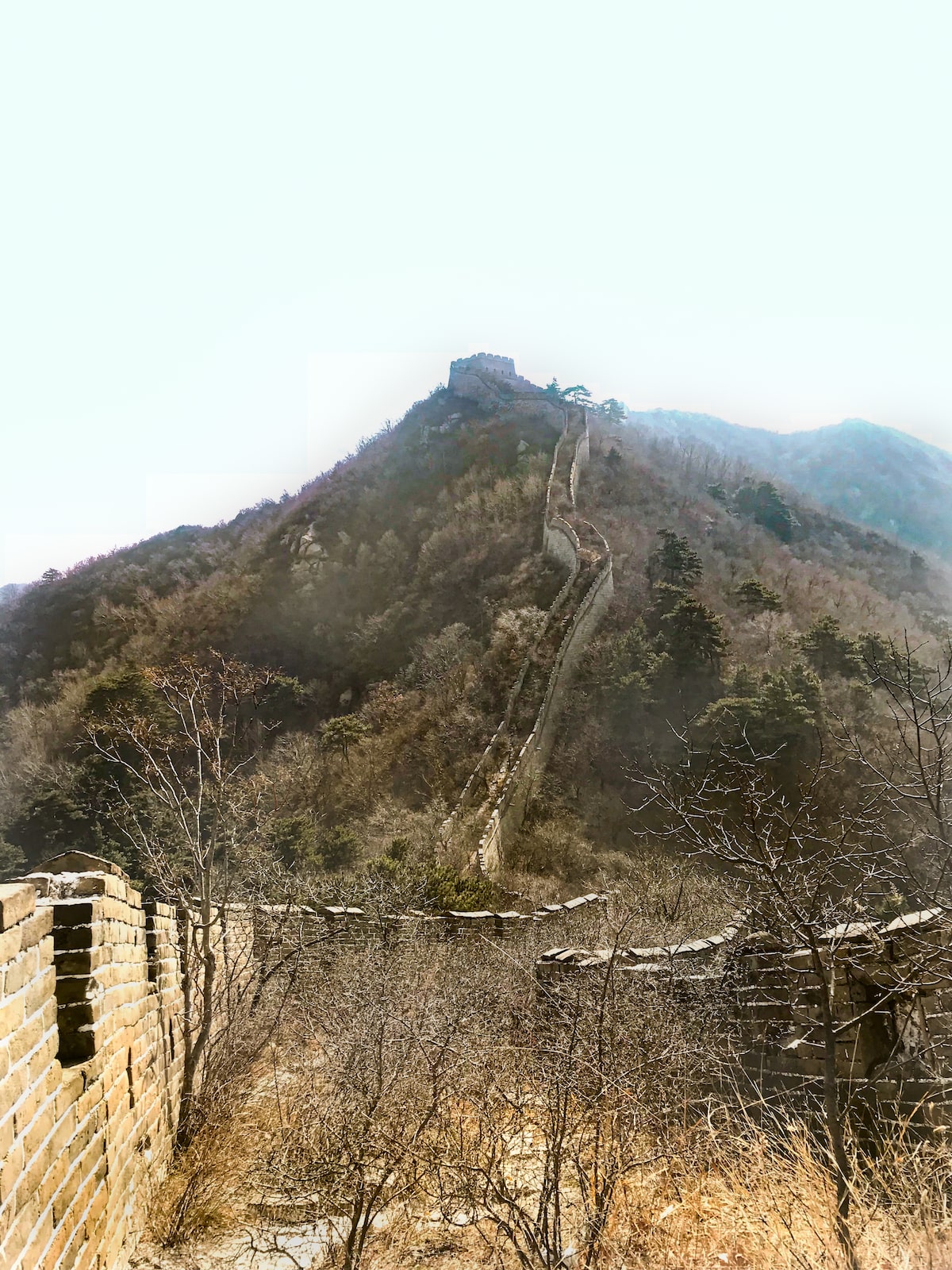 A steep large bridged wall with overgrown trees and fauna at The Great Wall of China.