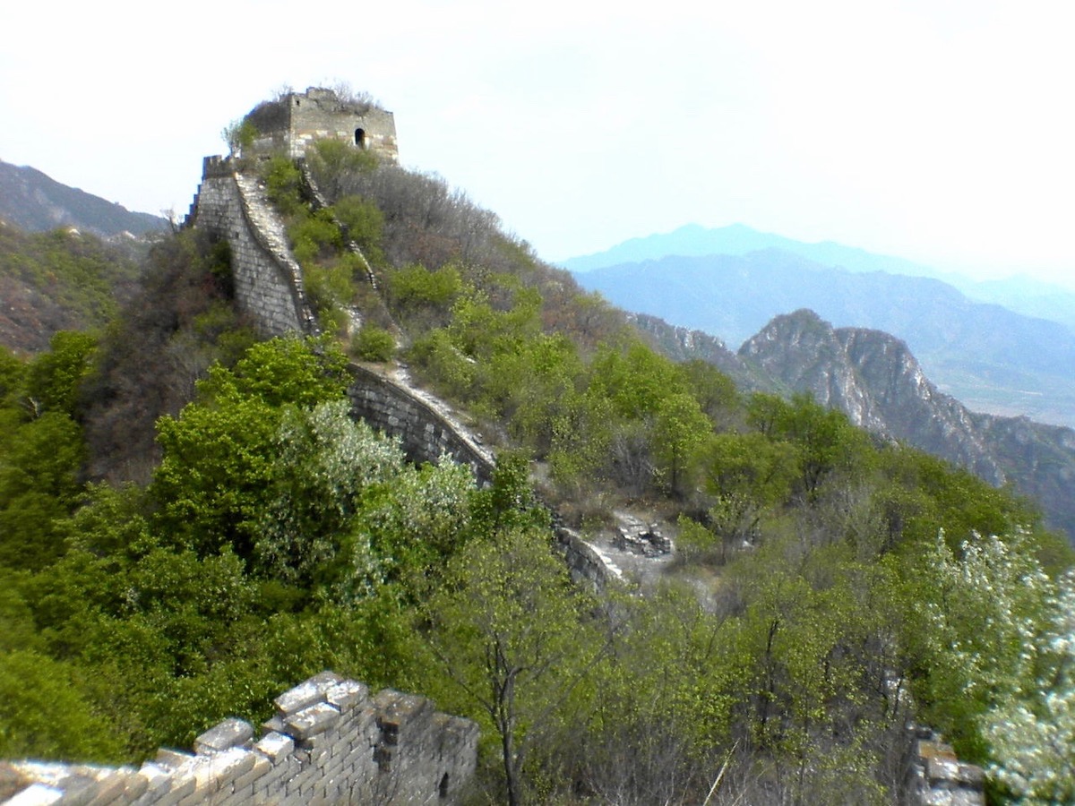 Lush green trees grow out of the Great Wall of China.