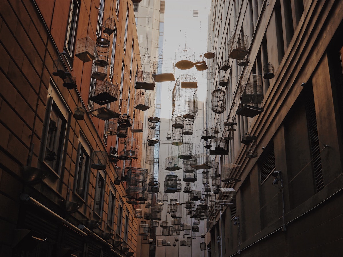 Empty bird cages hang from the sky in. a narrow street.