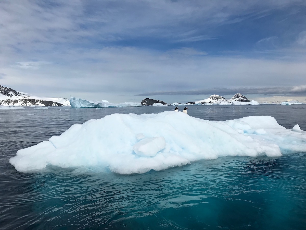 Antartica during the day, 2 penguins on top of snow in the middle of the sea