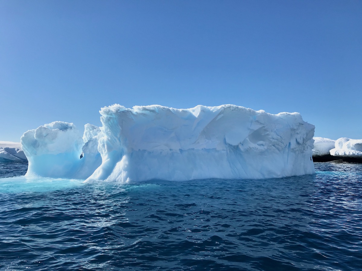 An iceberg in Antarctica during the day.