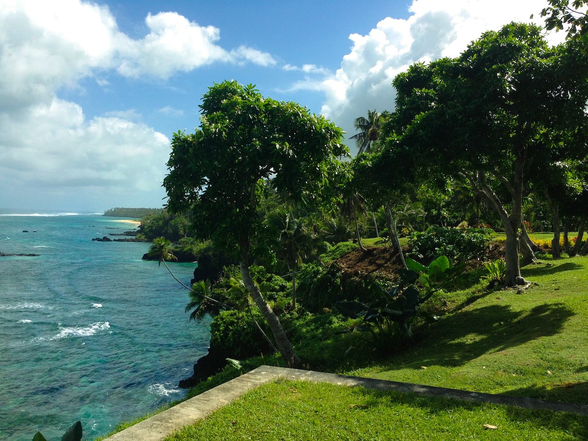 Greenery including trees looking over a clear blue sea.