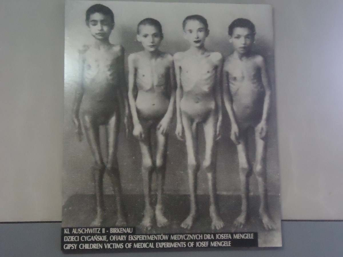 Harrowing photos of child victims of Josef Mengele are shown at the Auschwitz Museum in Poland
