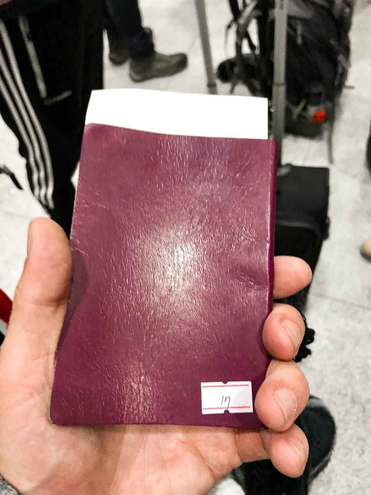 A purple passport in someone's hand