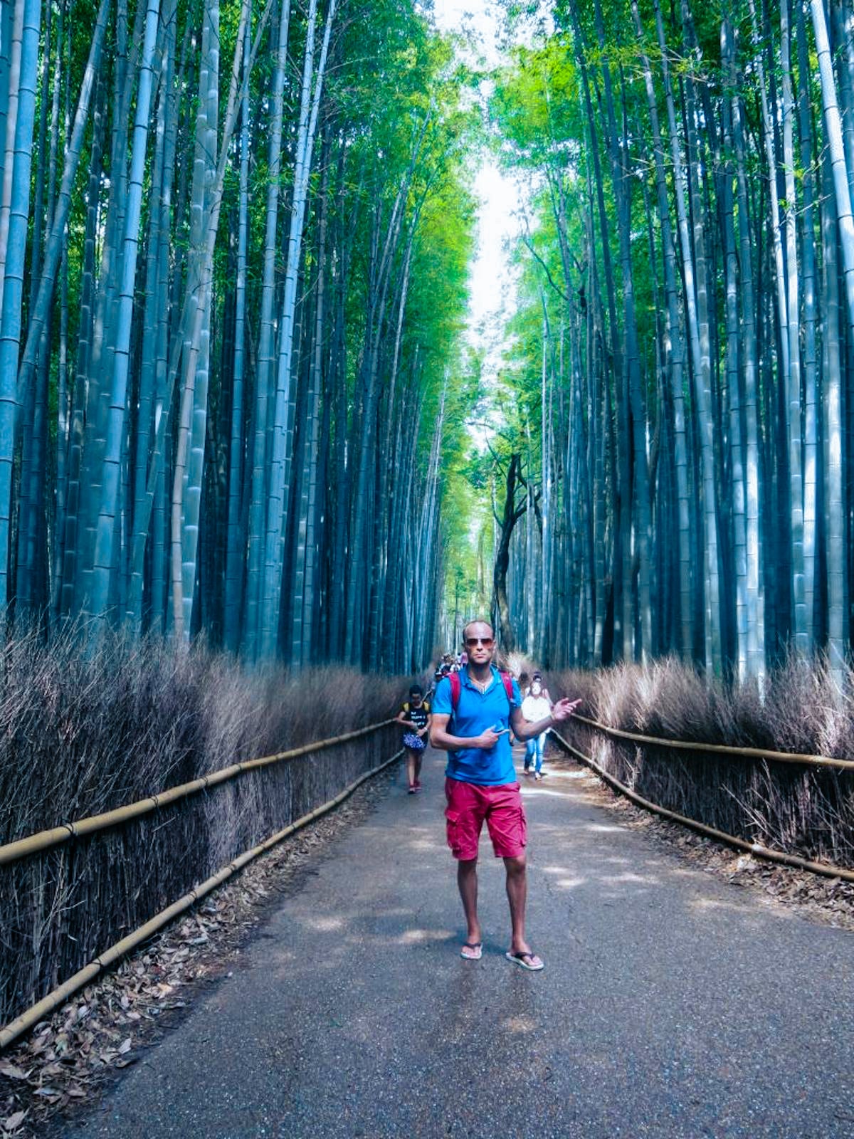 A tourist poses by the trees at Bamboo Forrest in Kyoto, Japan. 