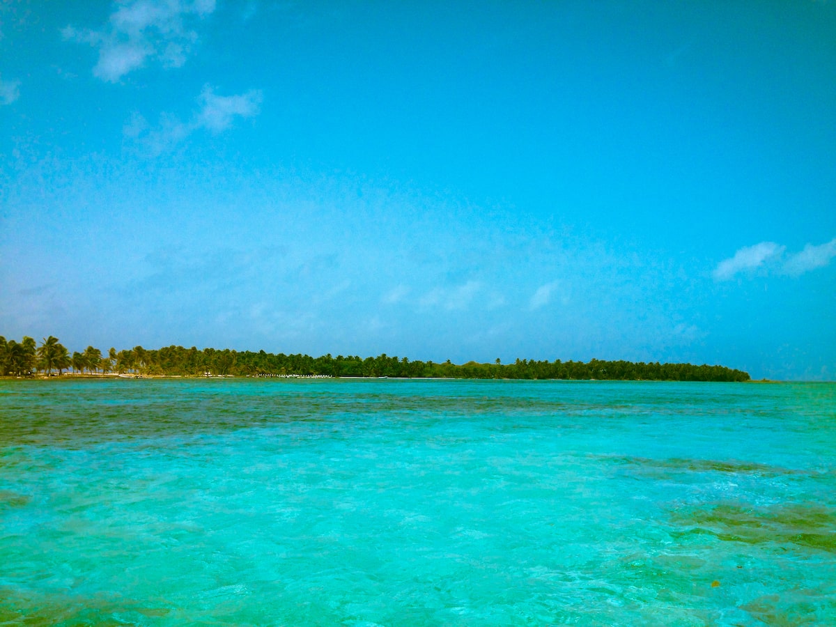 A stretch of lush green trees in the distance from the bright blue Caribbean Sea in Caye Caulker, Belize.