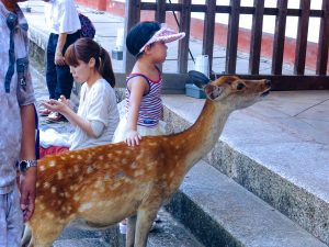 A little girl in a pink hat pets a female deer in Nara Park, Japan