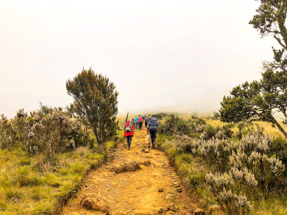 Hikers walk on an inclined path on a misty day.