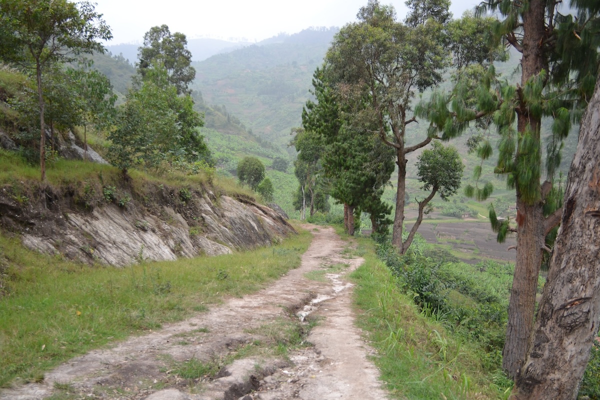 A narrow passage on the Congo Nile Trail