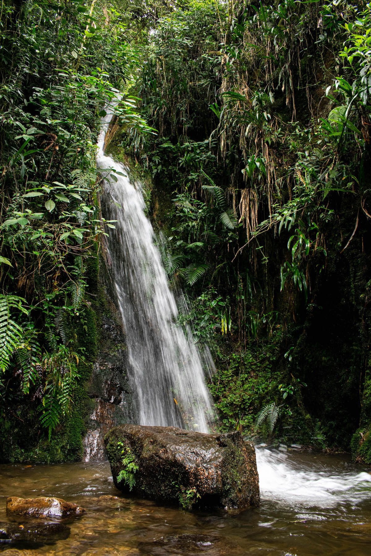 A small waterfall surrounded by greenery