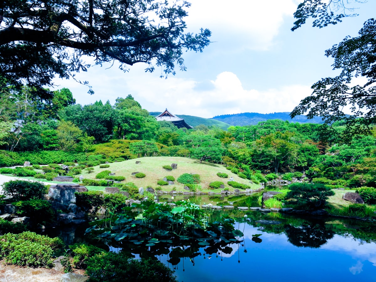 A beautiful botanical garden in Nara, Japan during the day