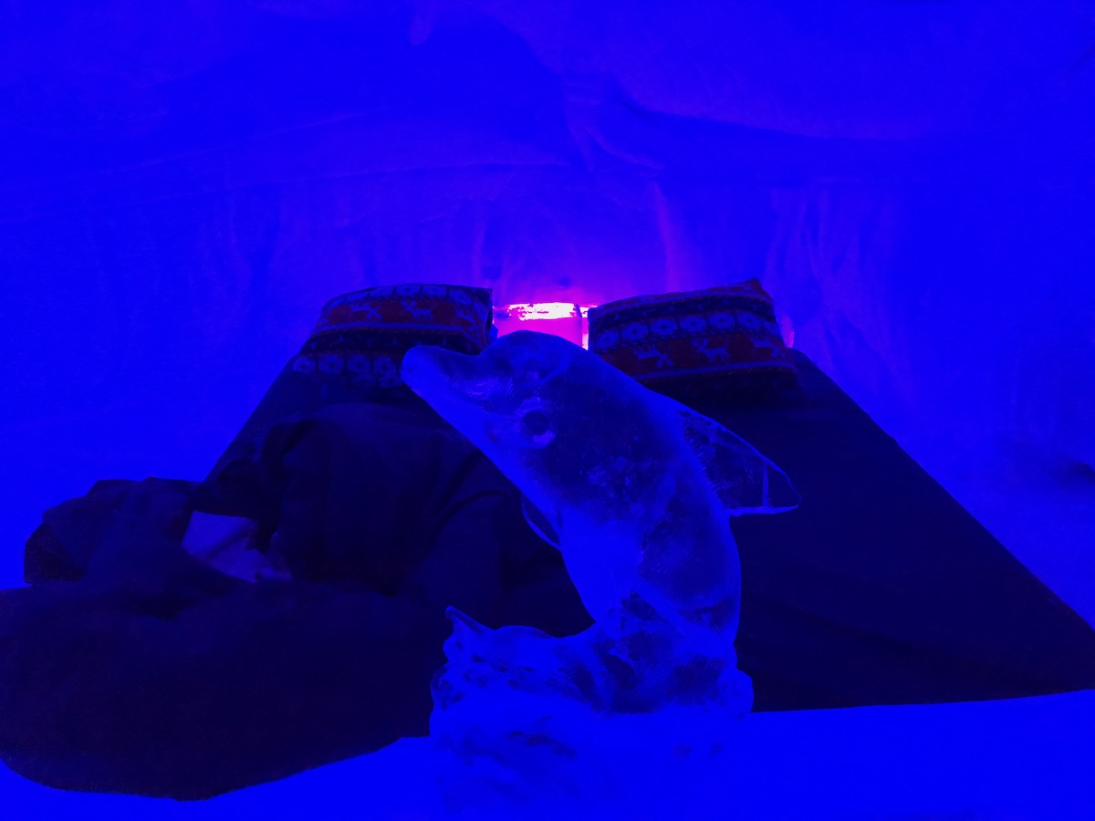 A dark blue-lit room with a bed and an ice sculpture of a dolphin.