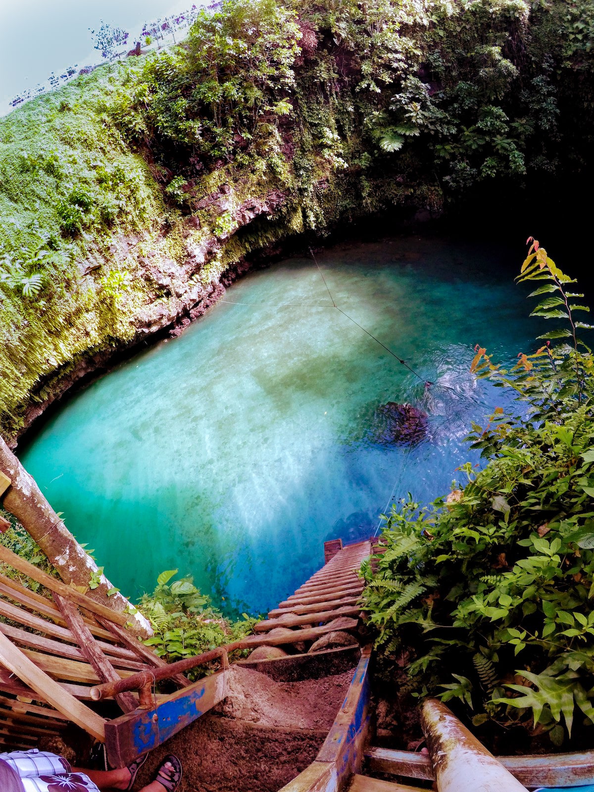 A ladder leading into a clear blue outdoor natural pool in Samoa 