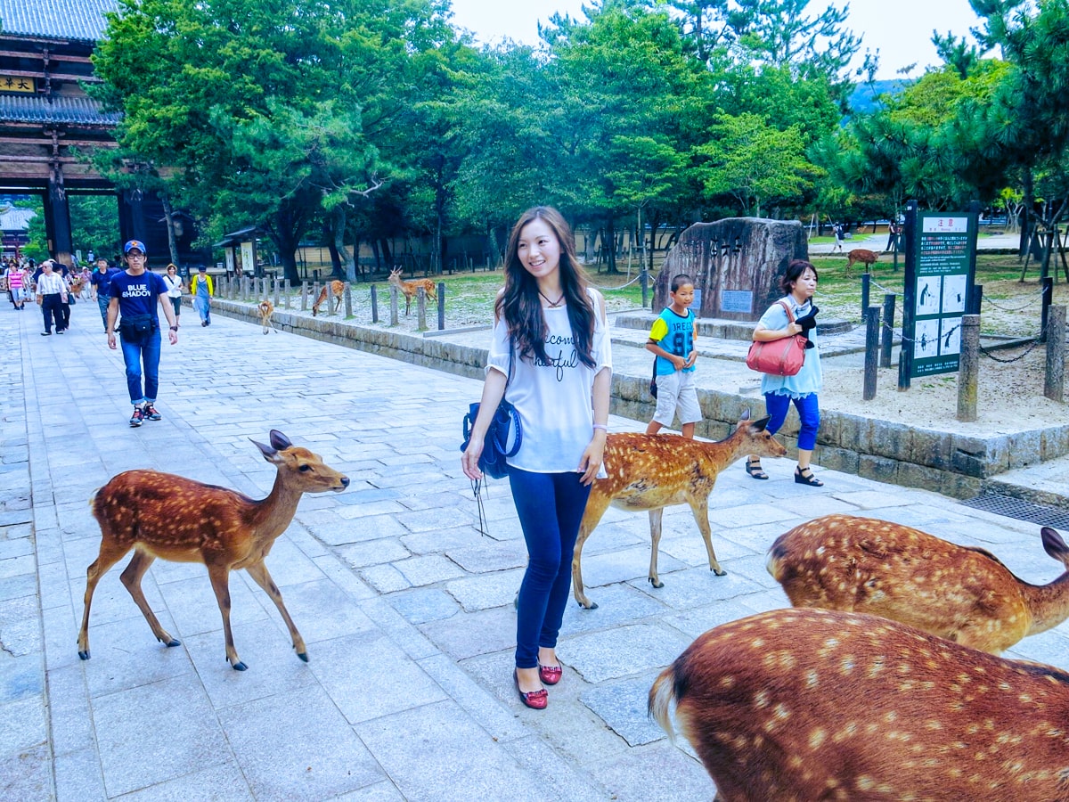 A Japanese lady nervously smiles as she is approaches by bowing deer in Nara Park