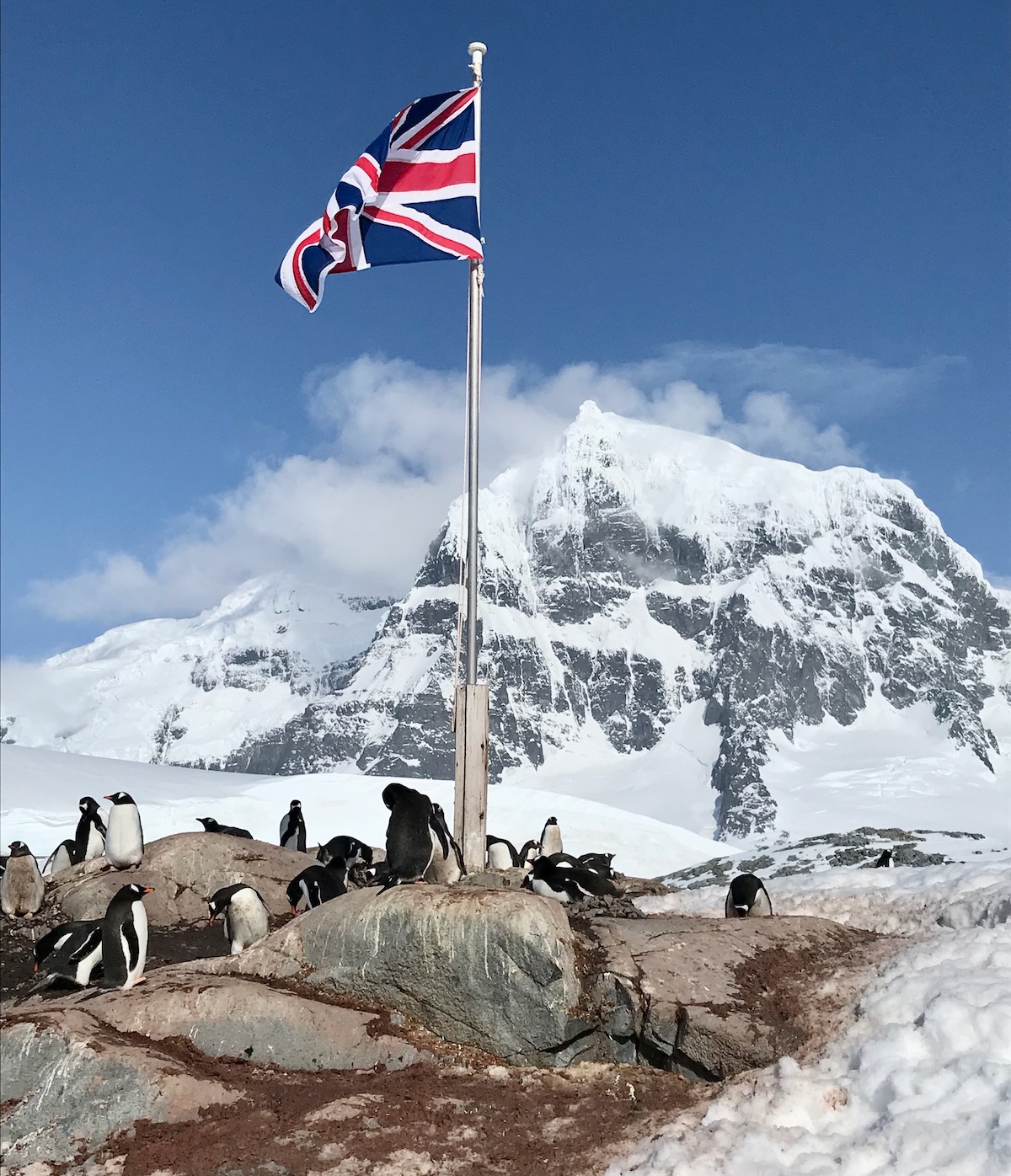 The Union Jack flag flaps in front of a snowy landscape surrounded by penguins in Port Lockroy, Antarctica