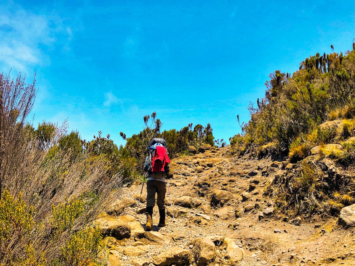 A hiker walks slowly up a bumpy path with walking poles and a large backpack.