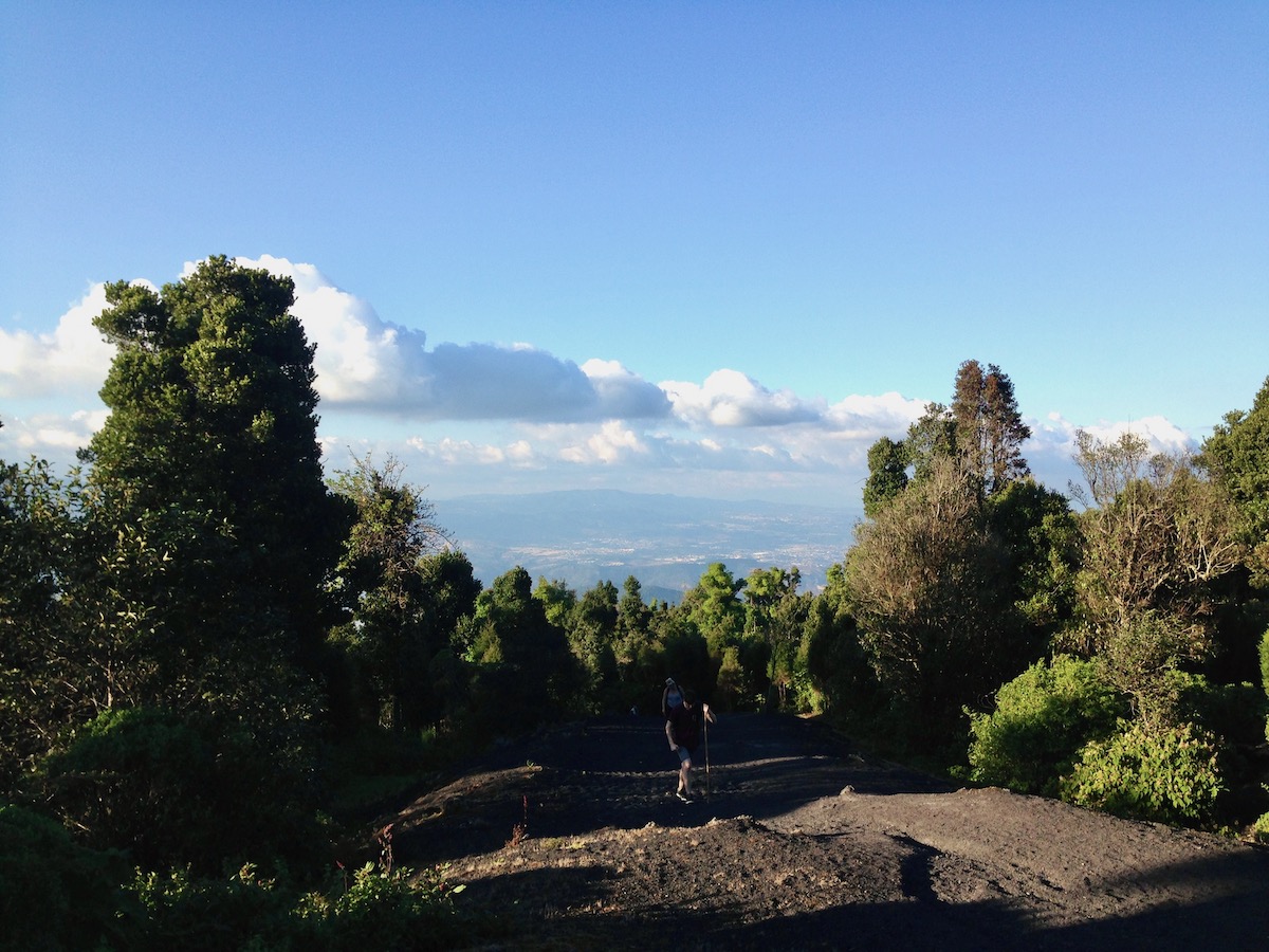 A hiker stands on a black surface, surrounded by green trees on a clear blue sky day on Pacaya Volcano, Guatemala. 