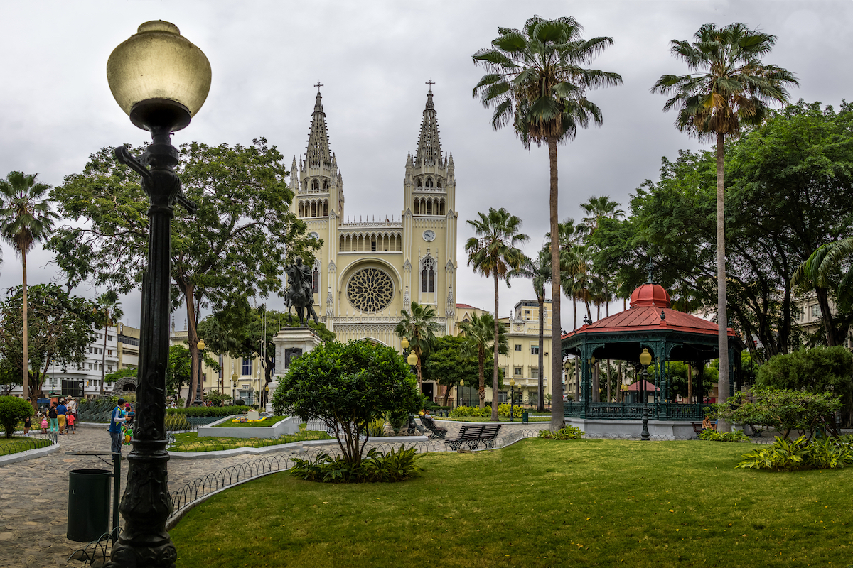 Seminario Park (Iguanas Park) overlooking the Metropolitan Cathedral - Guayaquil, Ecuador