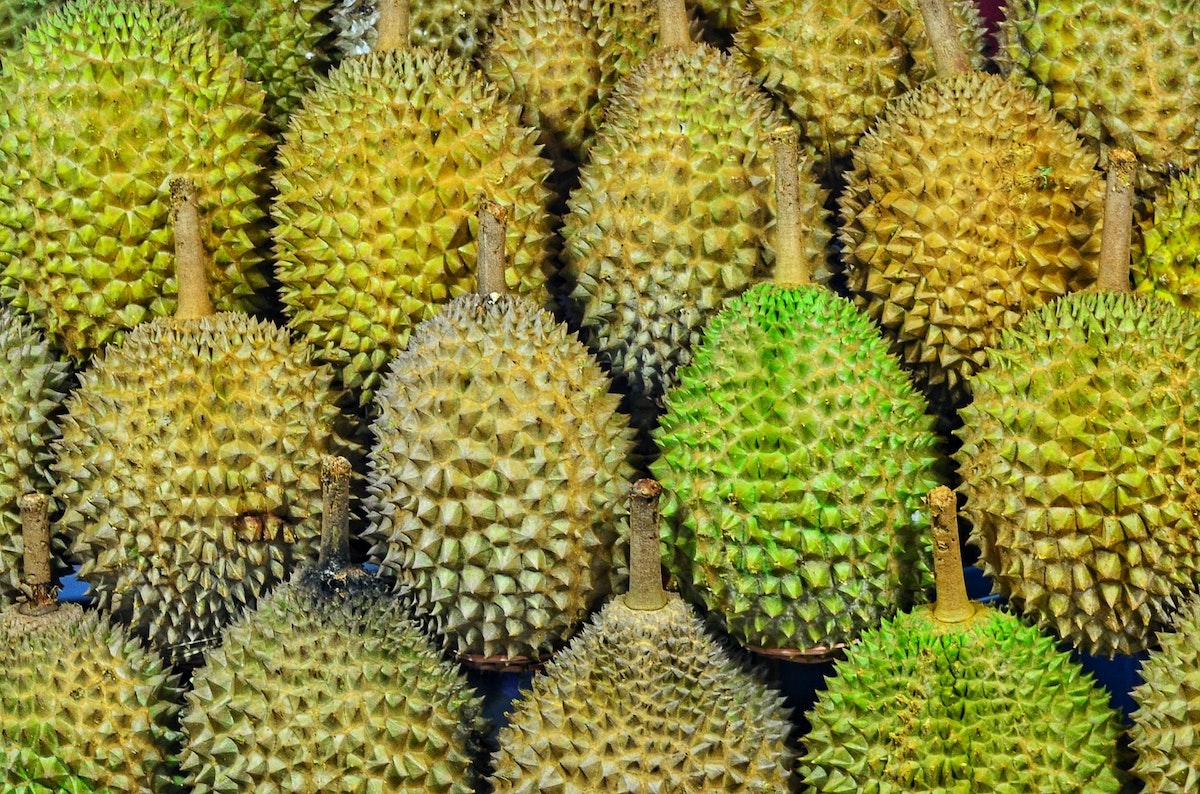 Spikey durian fruits. 