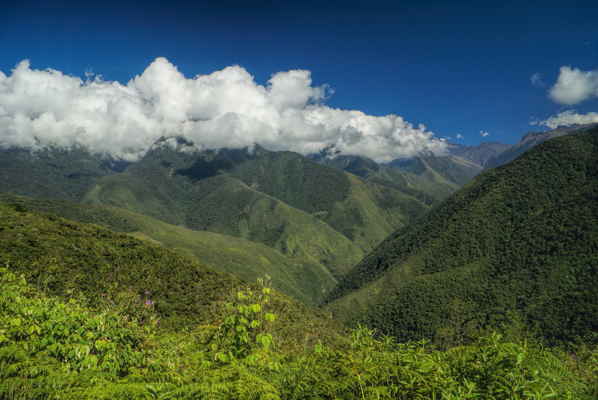 a lush green valley of hills on a cloudy blue sky day in La Paz, Bolivia.