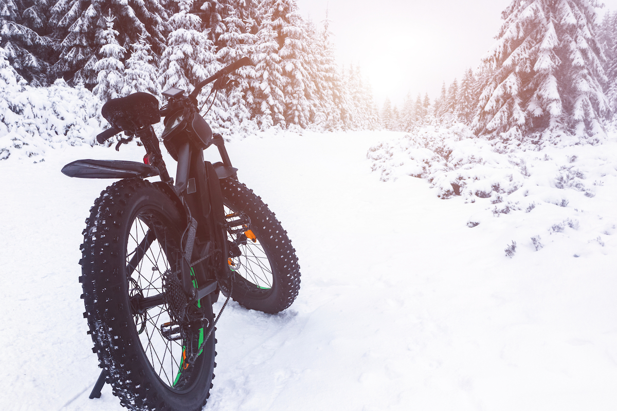 Fat bike in the winter forest