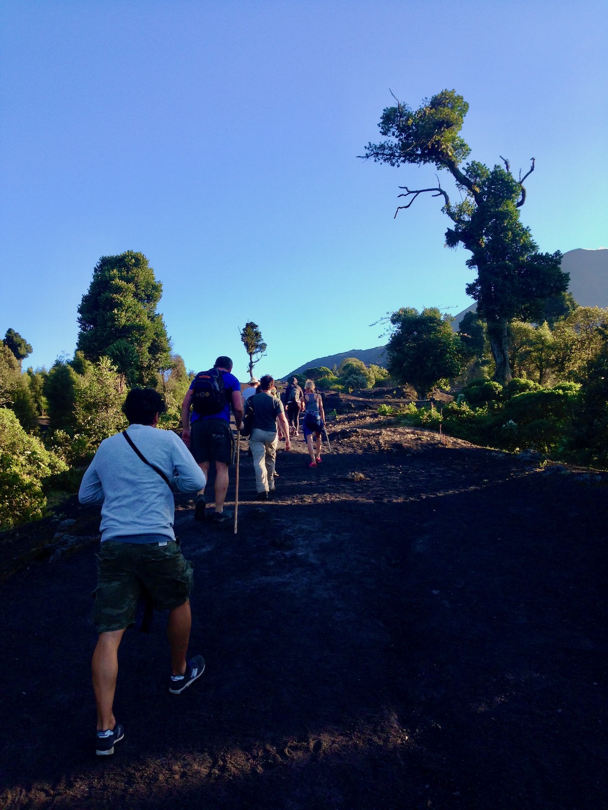 A team of hikers ascend up a steep incline on a volcano