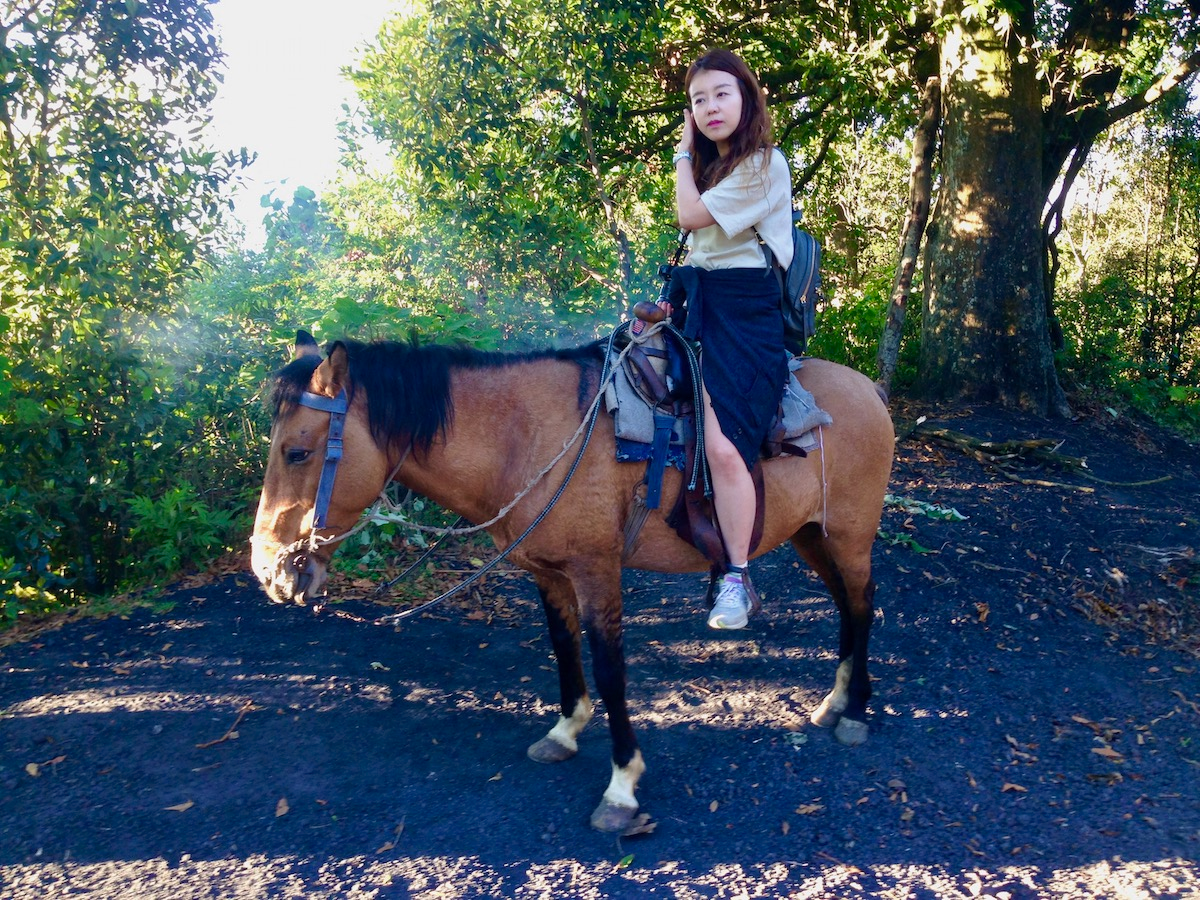 An Asian lady sits on top of a small horse.