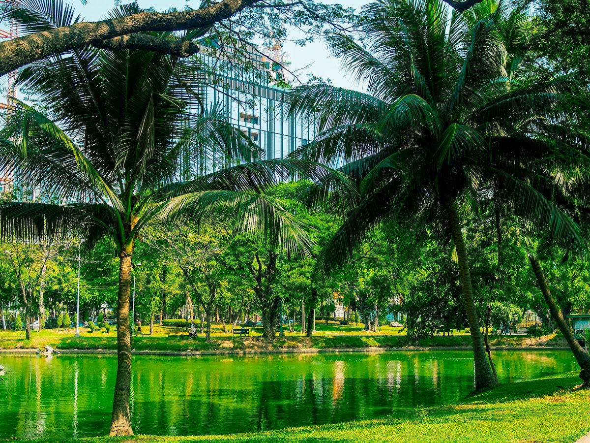 A green city park during the day in Bangkok, Thailand
