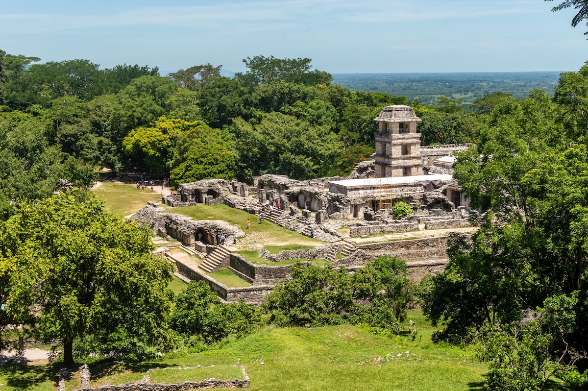 An ancient lost city surrounded by trees.