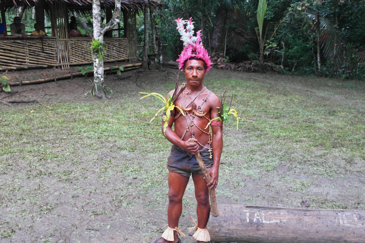A male member of a Papua New Guinea tribe adorned in traditional attire in the rainforest