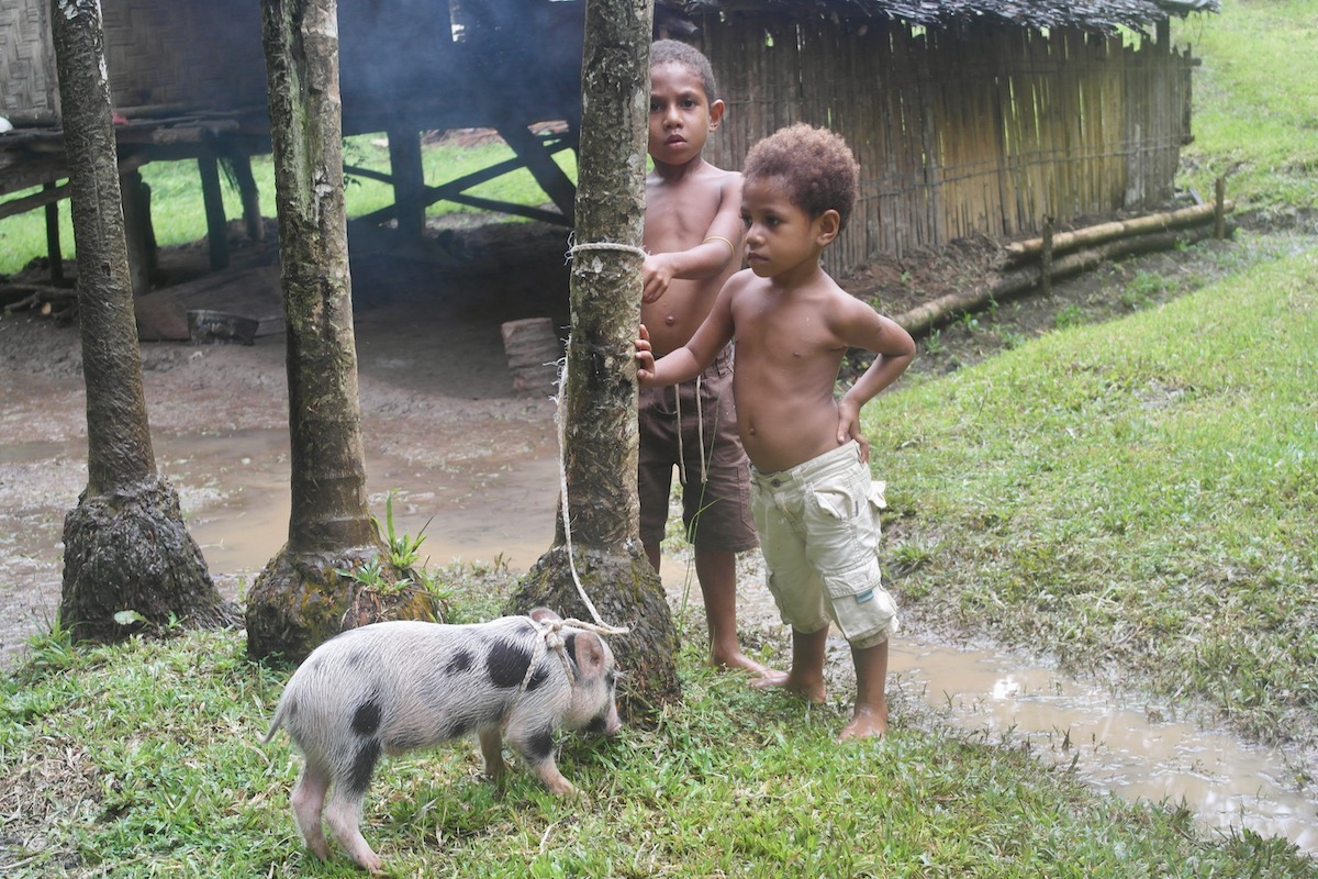 Two black children stand next to a pig toed to a tree in Madang, Papua New Guinea