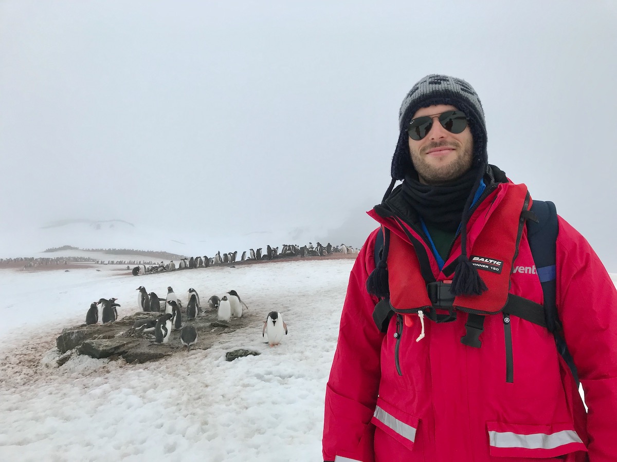A male tourist in a red parks stands next to a waddle of penguins