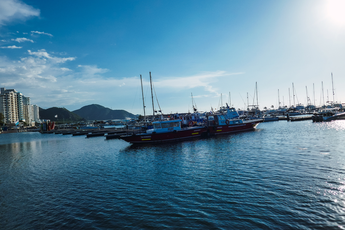Santa Marta Marina, with a variety of sailboats and motorboats moored near the city.