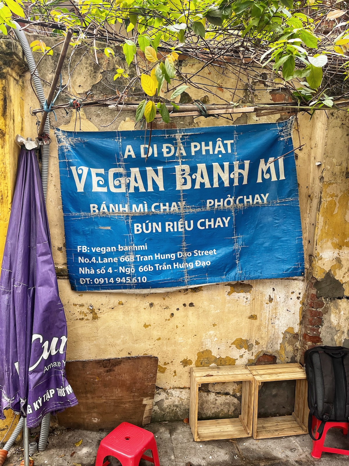 Vegan banh mi sign in Hanoi with Vietnamese writing 