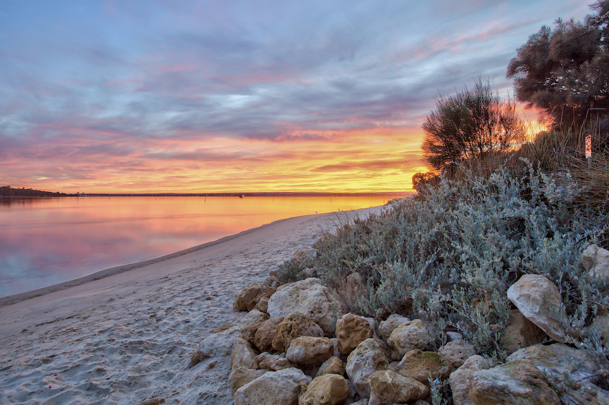 Fauna surrounding rocks on a beach at sunset.